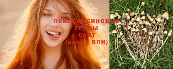 прущая мука Абаза